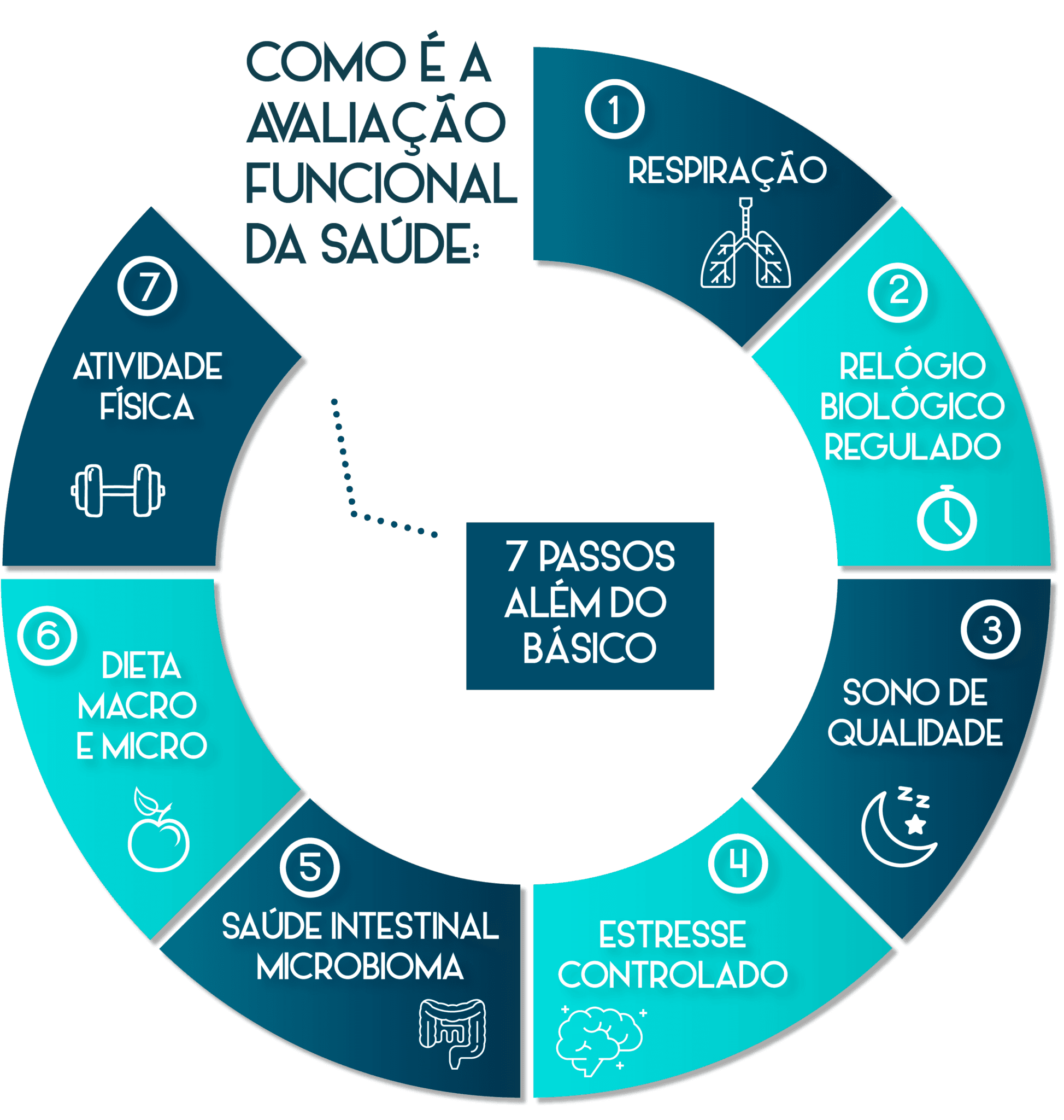 Diagrama circular da avaliação funcional em sete passos: respiração, relógio biológico, sono, estresse, intestino e microbioma, dieta e atividade física.